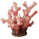 Blu Червен Корал за Аквариум 14х14х13 cm