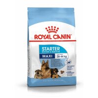 Royal Canin Maxi Starter Храна за Бременни и Кърмещи Кучета и Подрастващи Кученца от Едри Породи 4кг