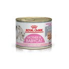 Royal Canin Babycat  Храна за Бебе Котки 195 g